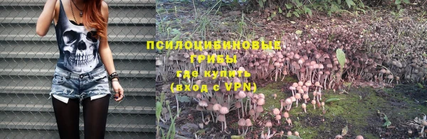 mdpv Балахна
