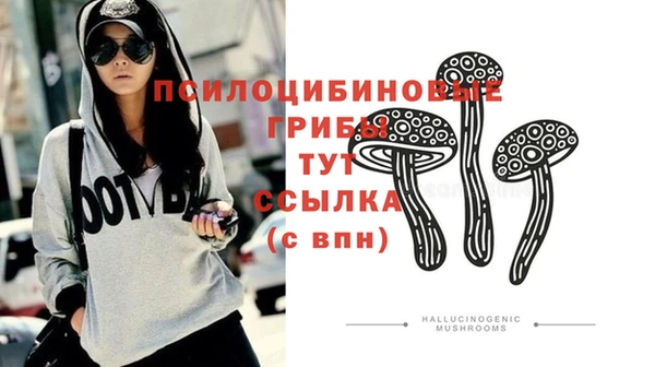 mdpv Балахна