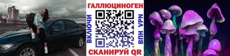 Галлюциногенные грибы Psilocybe  Озёры 